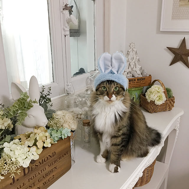 yuchiさんの実例写真