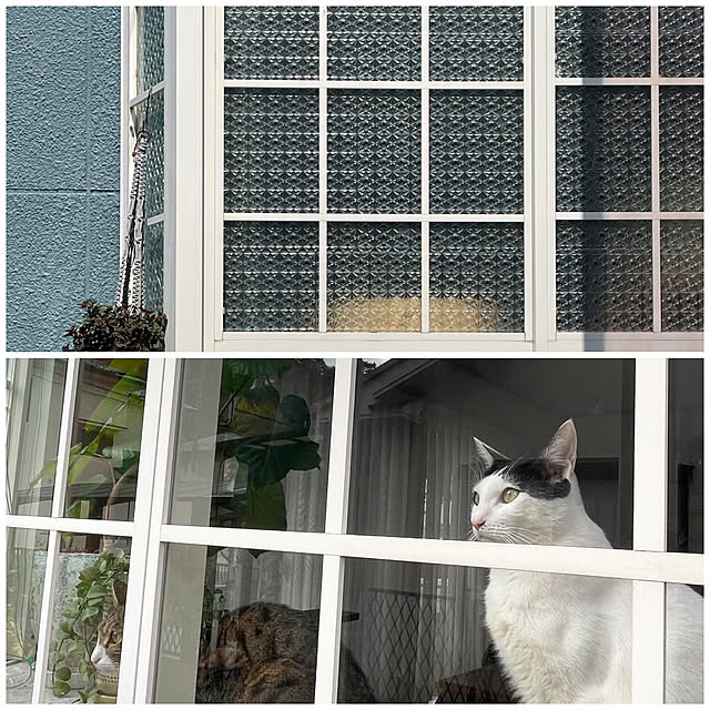 nobikoさんの部屋