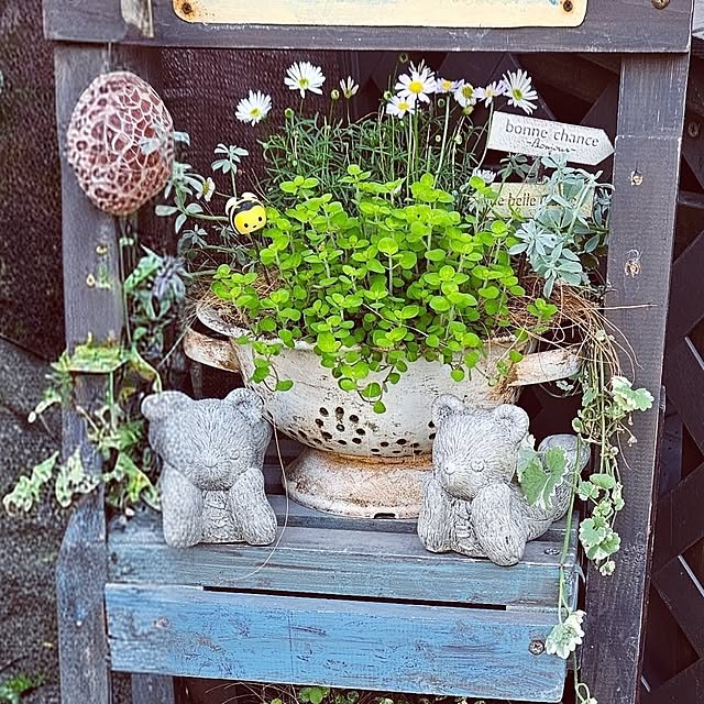 mocomocoさんの部屋