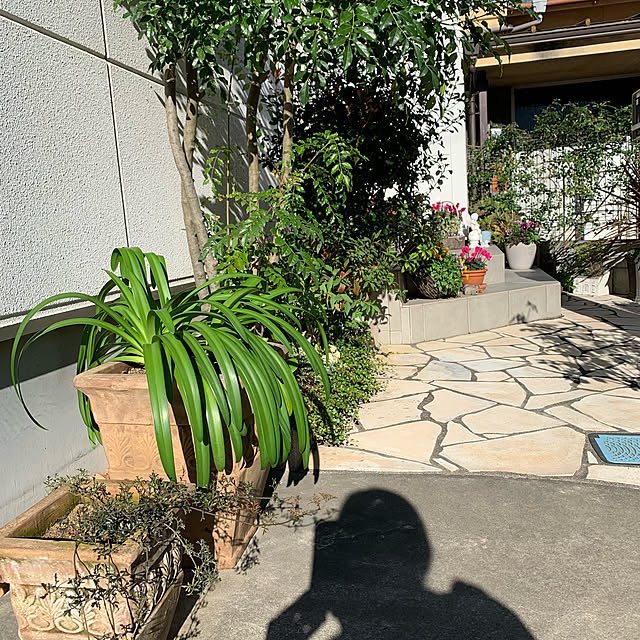 kekokekoさんの実例写真