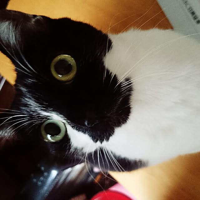 Naomiさんの実例写真