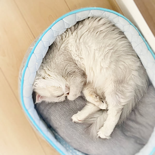 luna.comさんの部屋