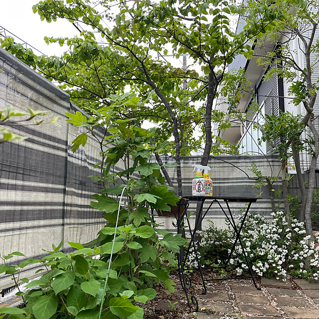 nikoさんの実例写真