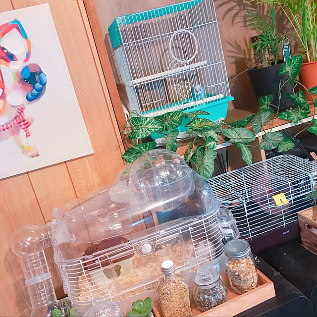 yuumeroさんの実例写真
