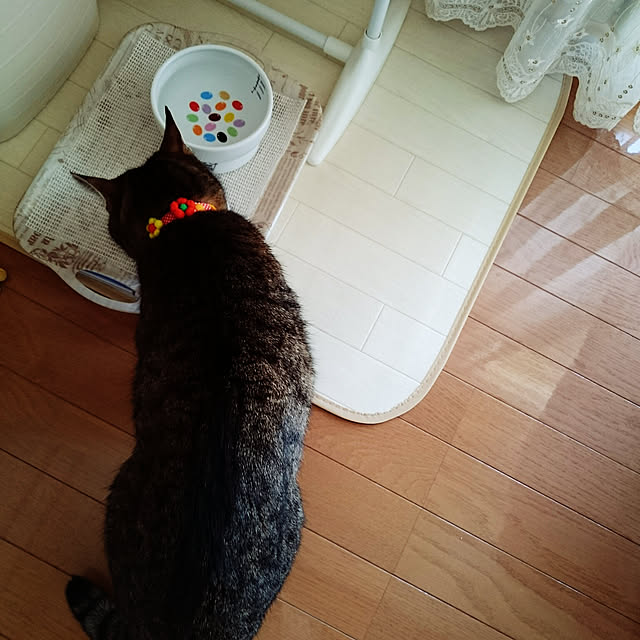 lilyさんの実例写真
