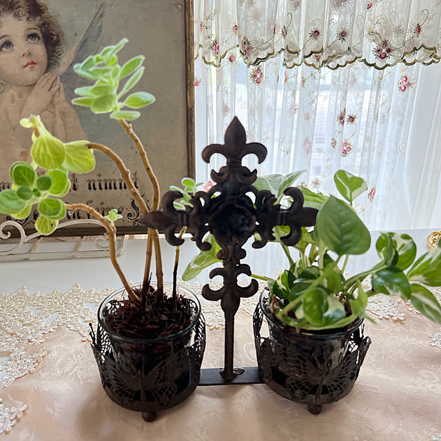 AYUKOさんの実例写真