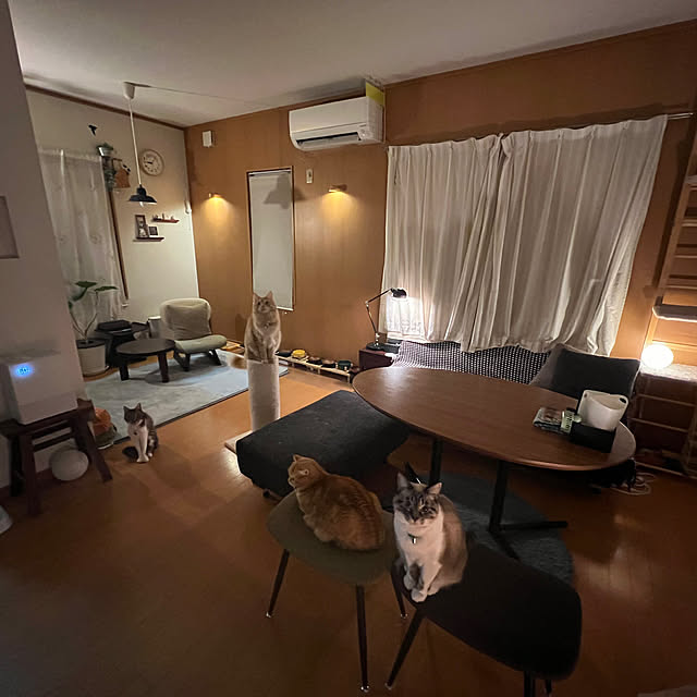amosさんの実例写真