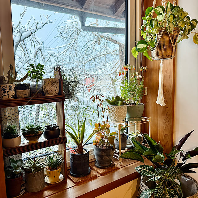 onsix777さんの部屋