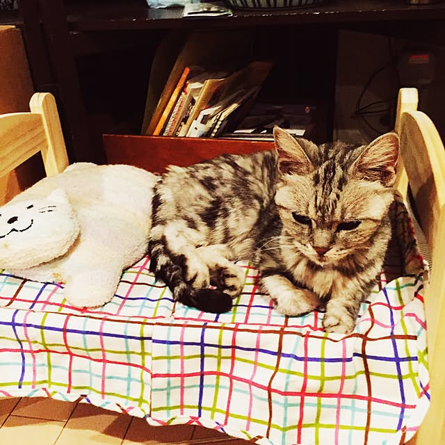 minoriさんの実例写真