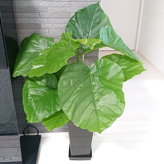 hmkykさんの実例写真