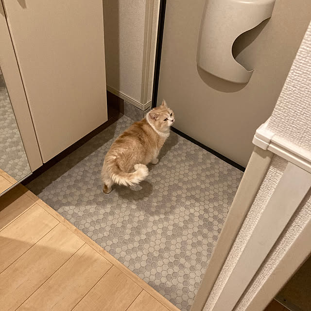 H.Tさんの部屋