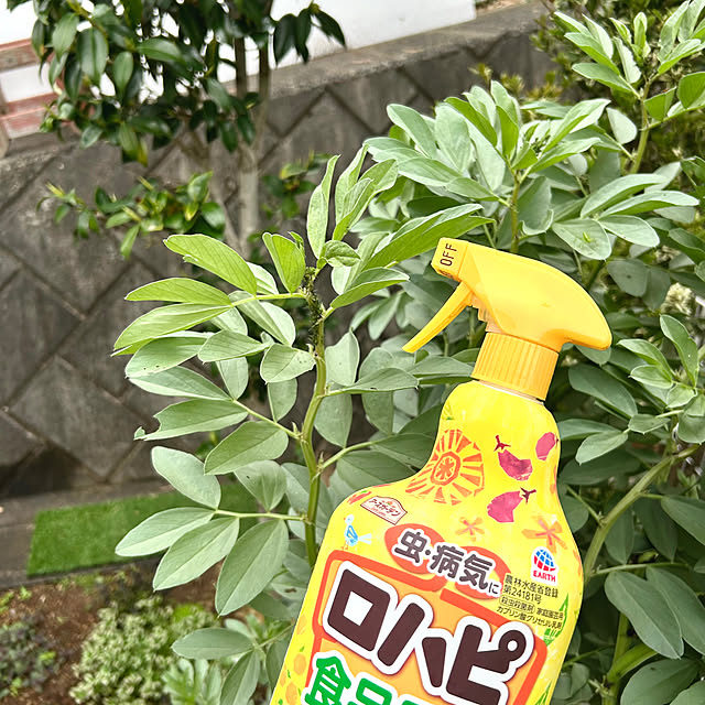 kittyさんの実例写真