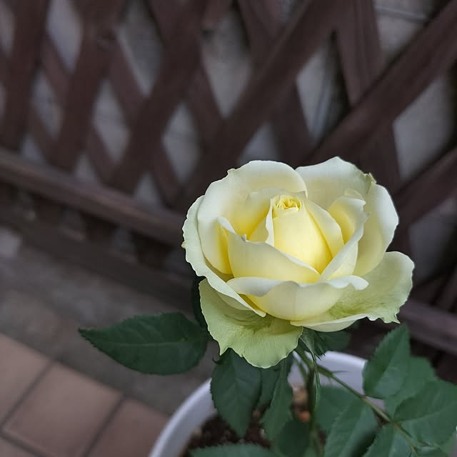 aoiroさんの部屋