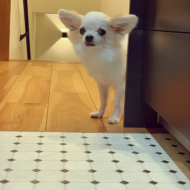 73さんの実例写真