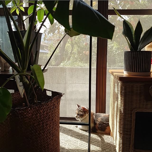 fukuさんの部屋
