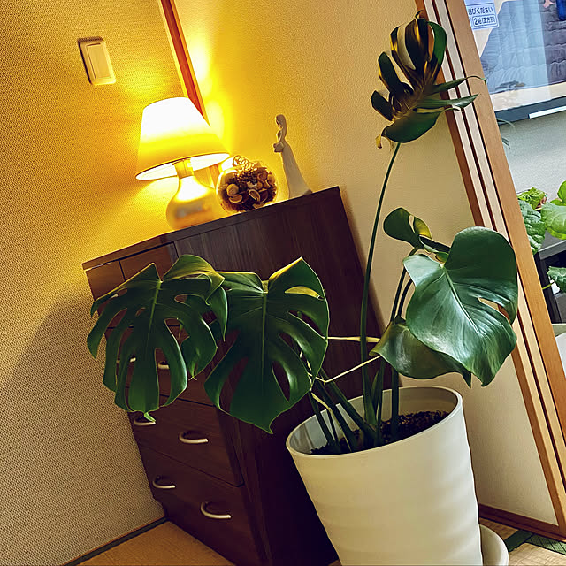 実例写真