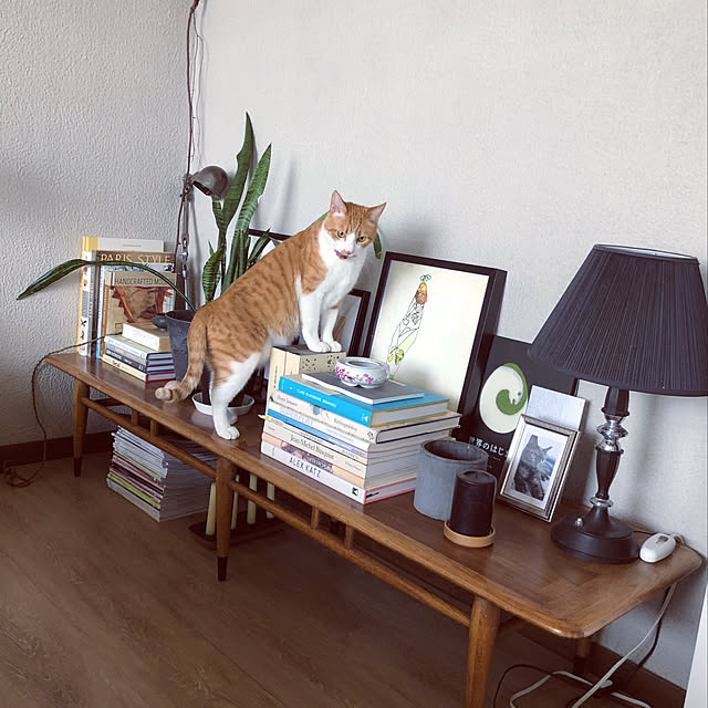 lalaさんの実例写真