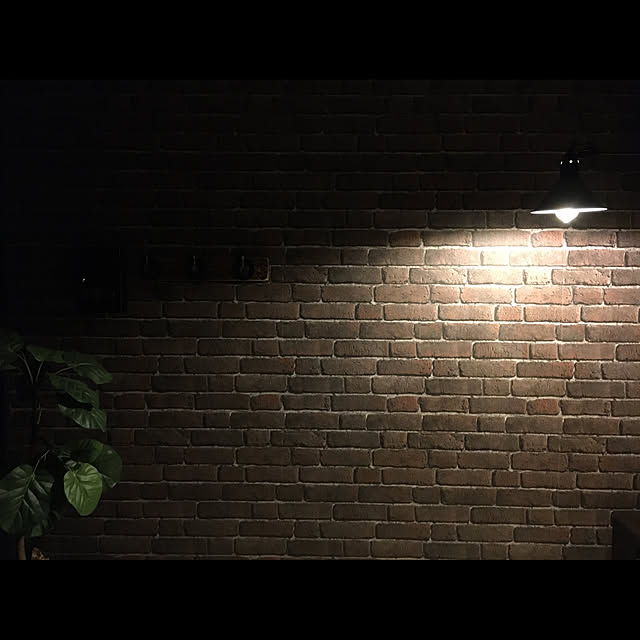 primaveraさんの実例写真
