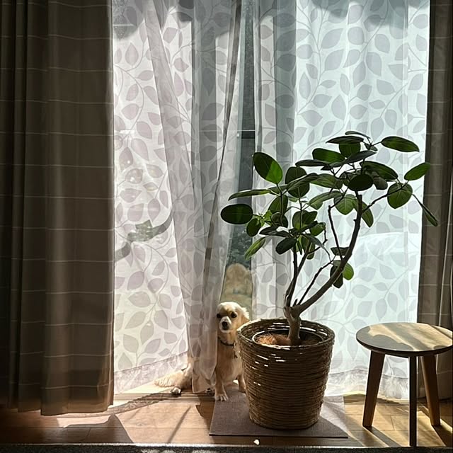 yamyum_さんの部屋
