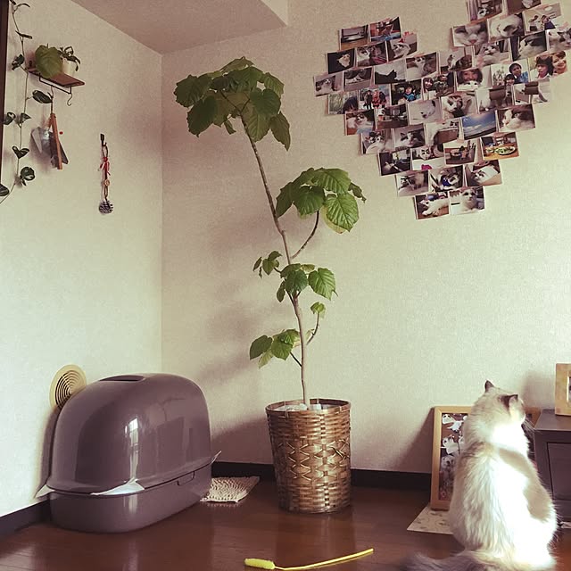 mimimillyさんの実例写真