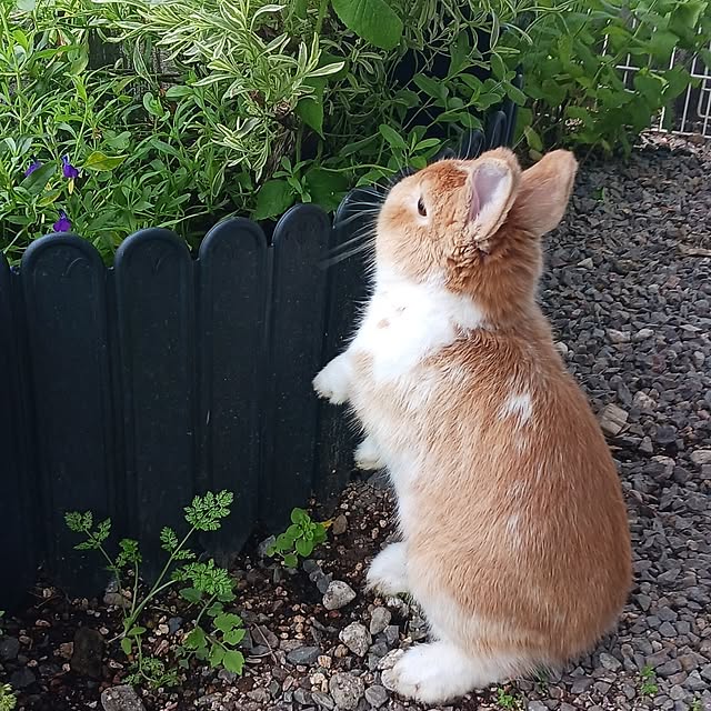 aiさんの実例写真