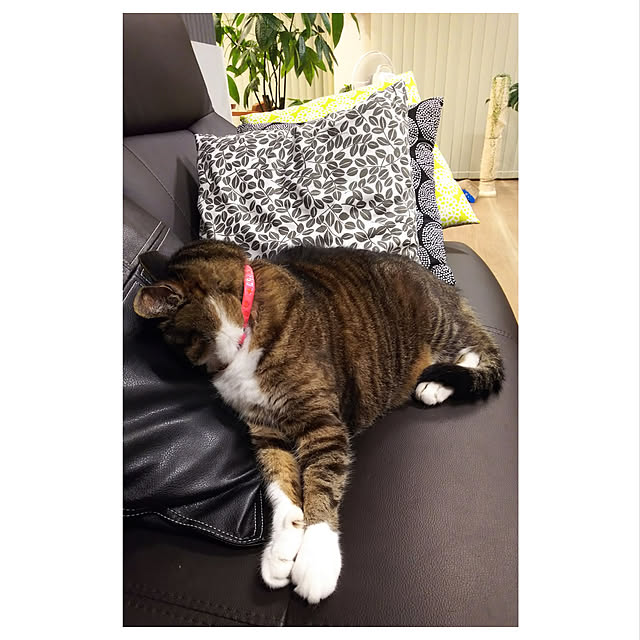 houenさんの実例写真