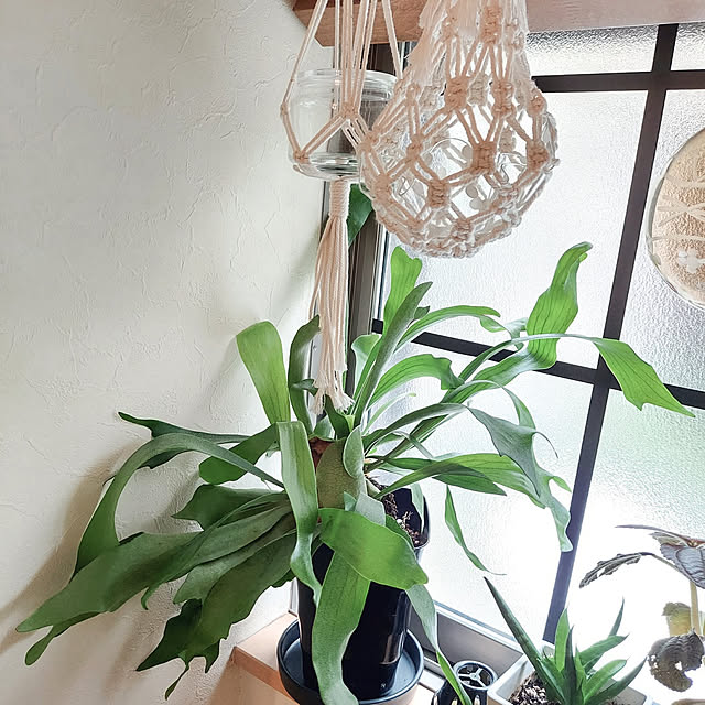 makkyさんの実例写真