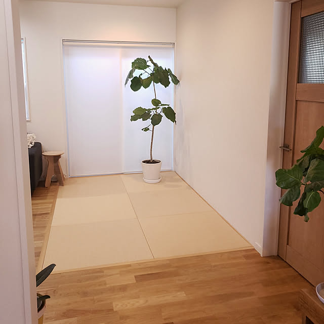 tani0101さんの実例写真