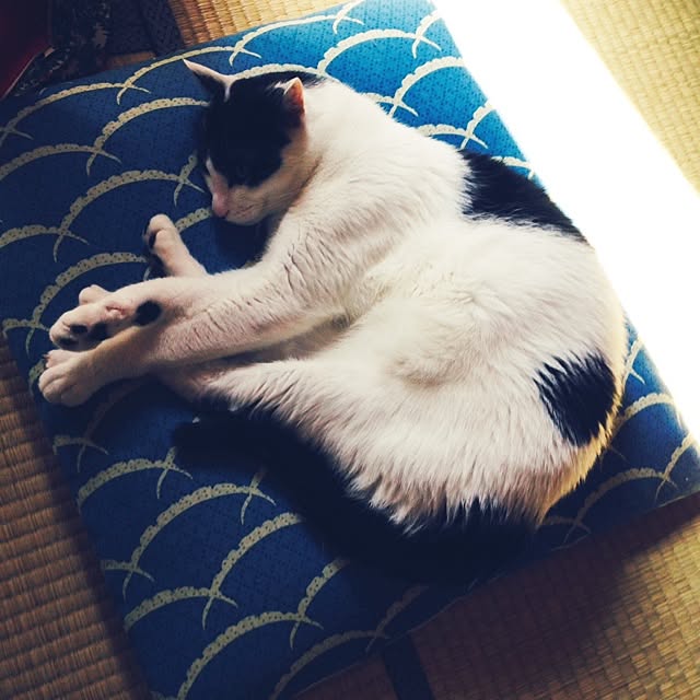 furararaさんの実例写真