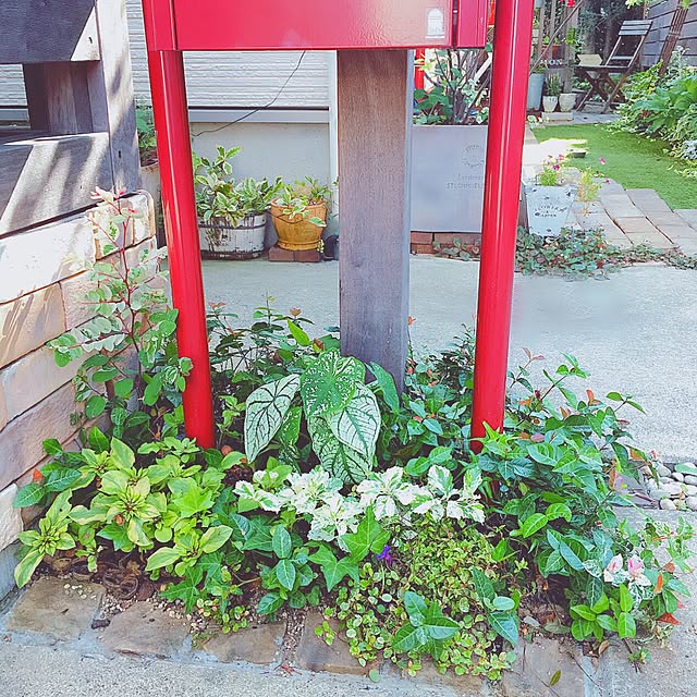 risaさんの実例写真
