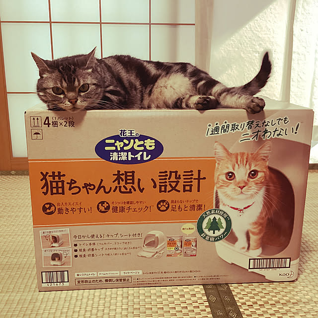 richanさんの部屋