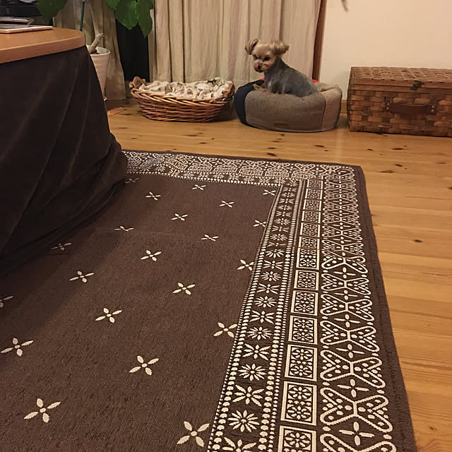misacoさんの実例写真
