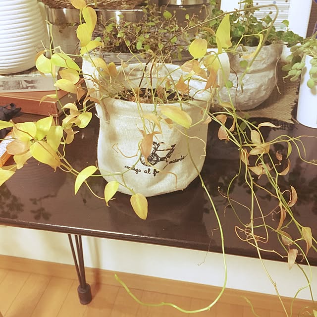juboccoさんの実例写真