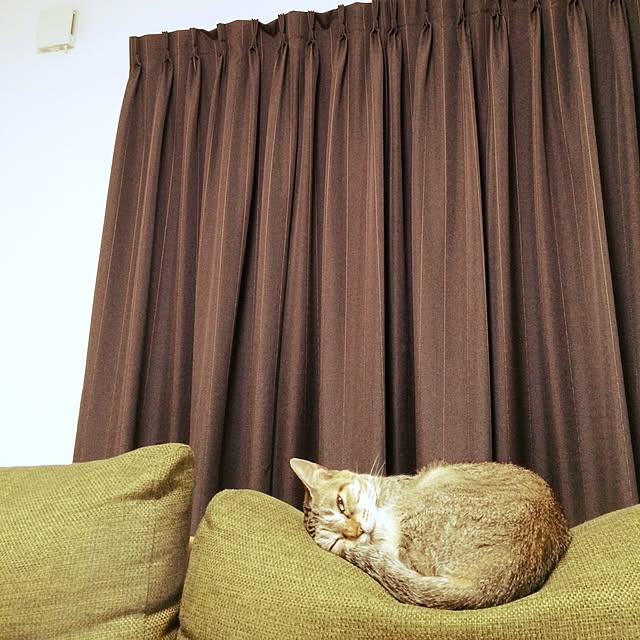 yu-sanさんの実例写真