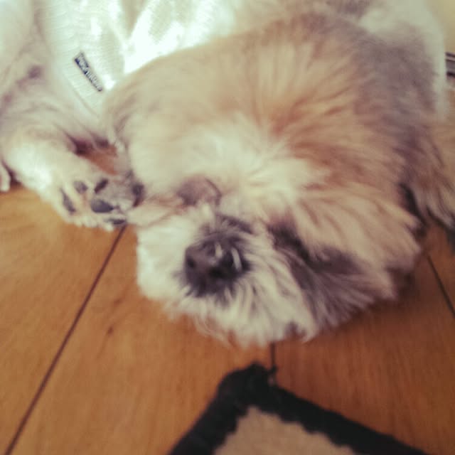 tibiさんの実例写真