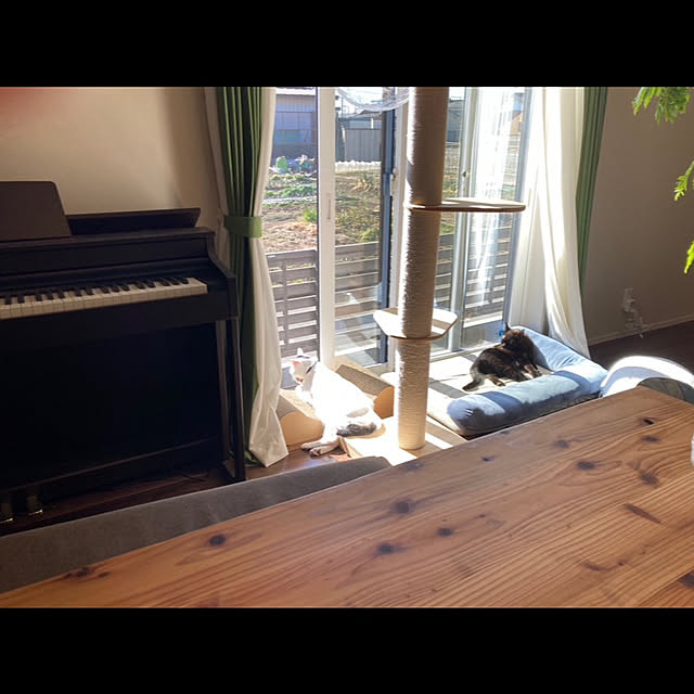 ma.さんの実例写真