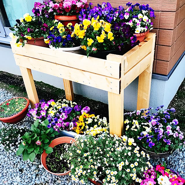 mt.mamaさんの実例写真