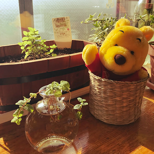 sayuさんの実例写真