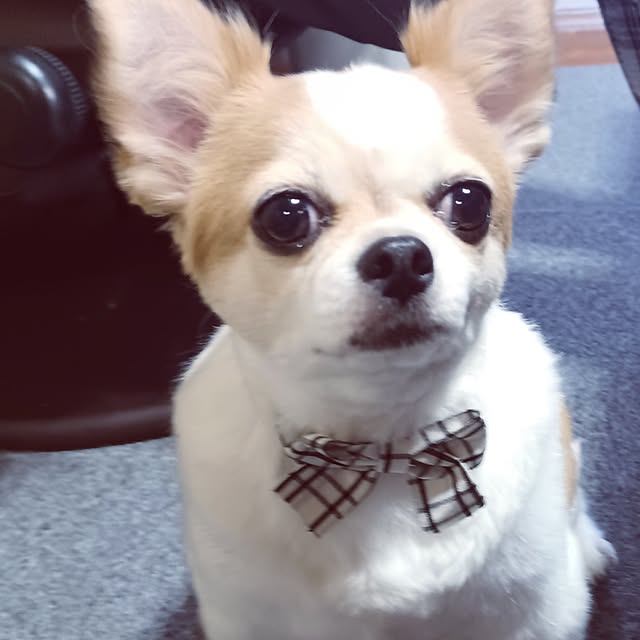 hiro-yさんの実例写真