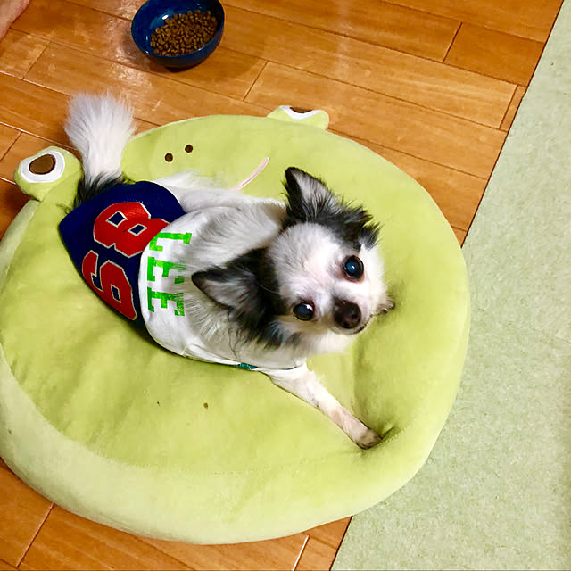 aiko_y_1120さんの実例写真