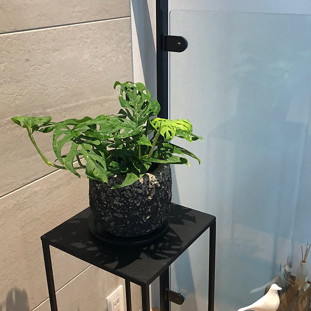 Rororiさんの部屋