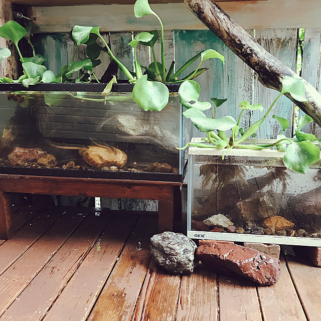 pepeさんの実例写真