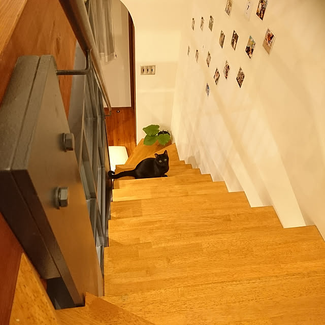 bump11222000さんの部屋