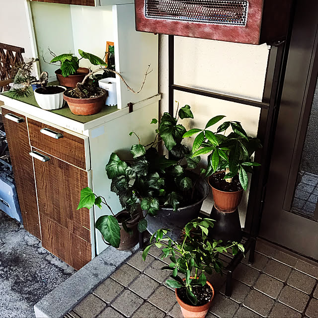 aninさんの実例写真