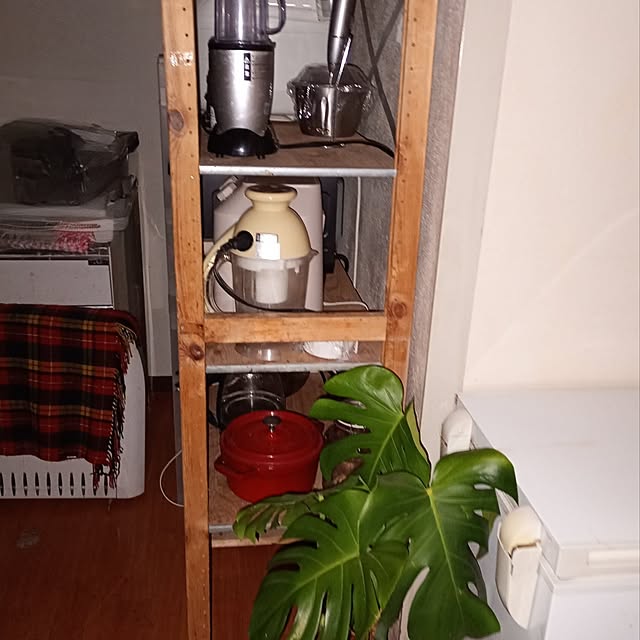 catloveさんの実例写真