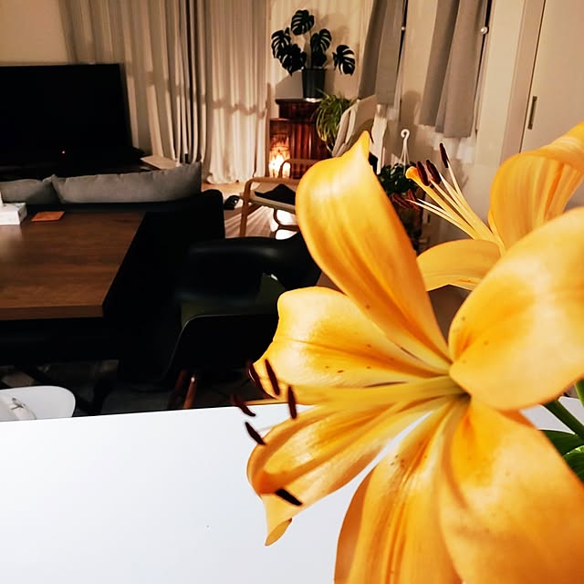 Mayuさんの部屋
