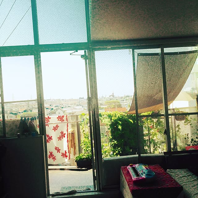 Elissaさんの実例写真