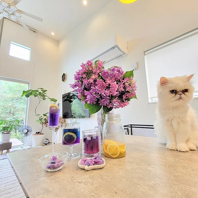 babyLEMONさんの実例写真
