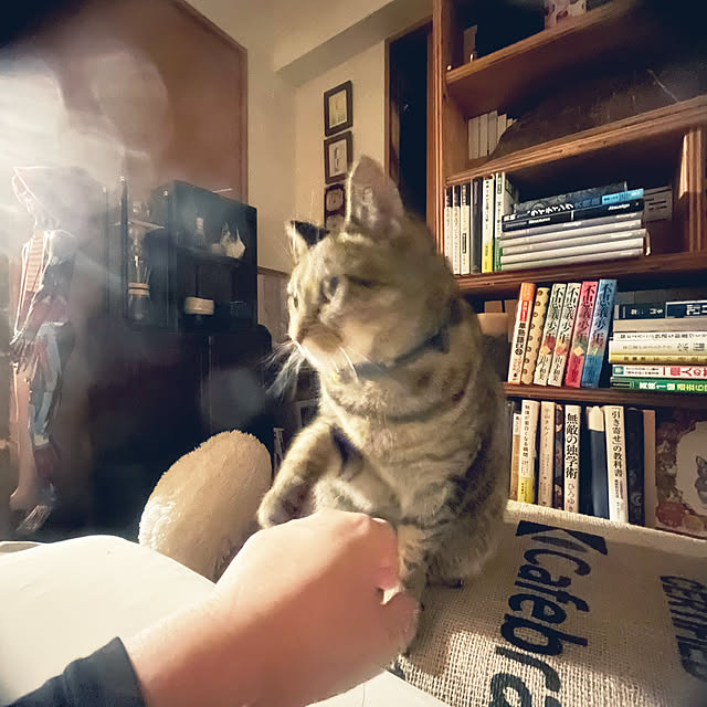 Mさんの部屋