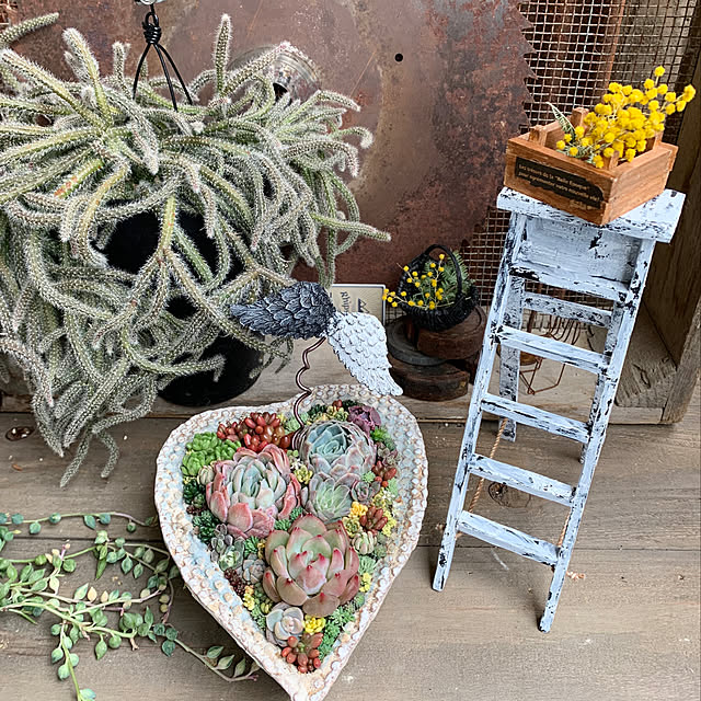 natulove0418さんの実例写真